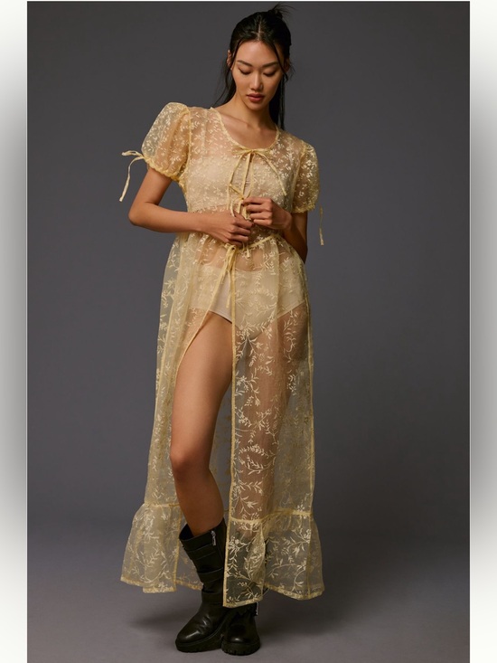 Anthropologie Other - NWT Anthropologie Sheer Floral Organza Maxi Dress